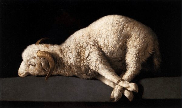 Agnus Dei - by Francisco de Zurbarán