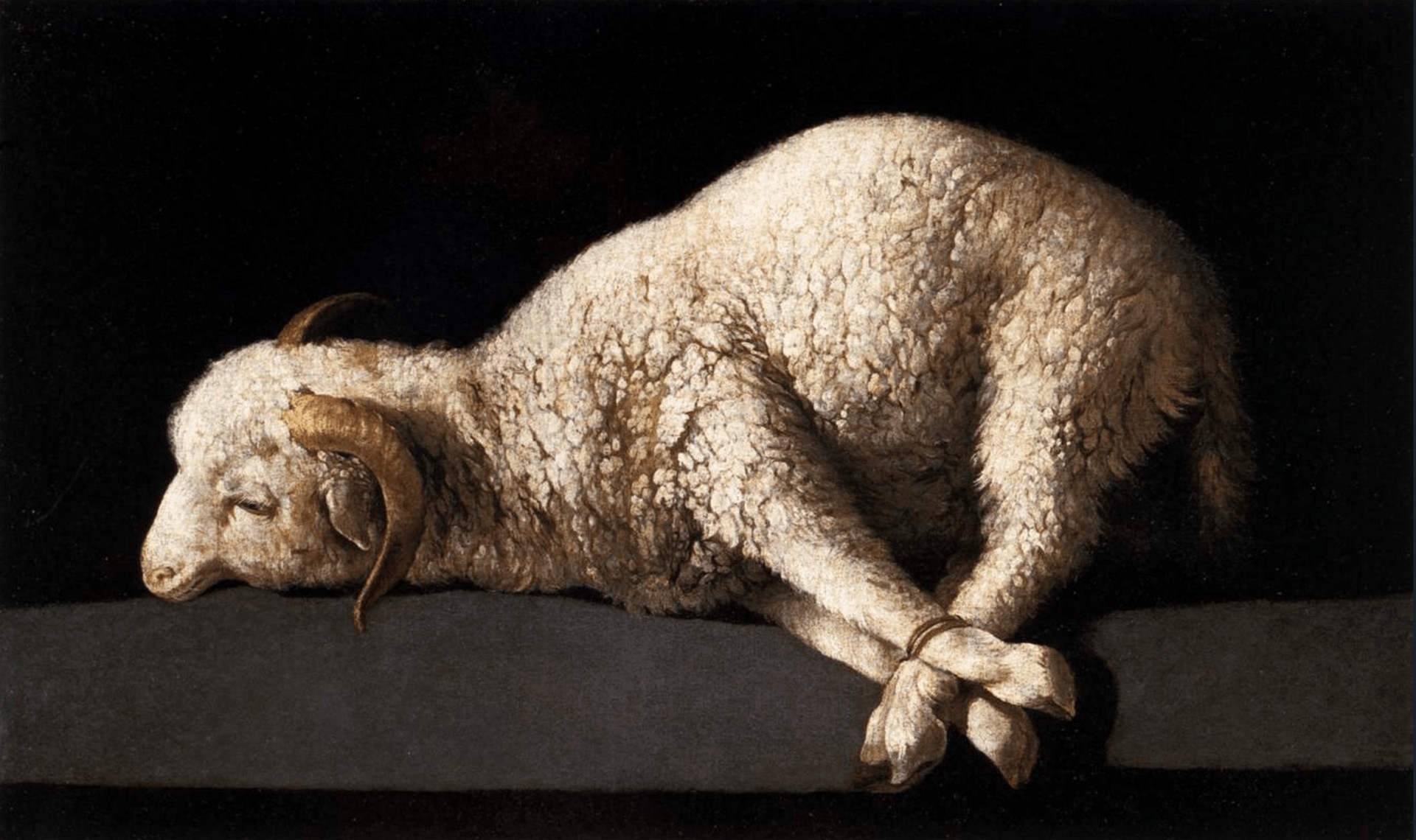Agnus Dei - by Francisco de Zurbarán