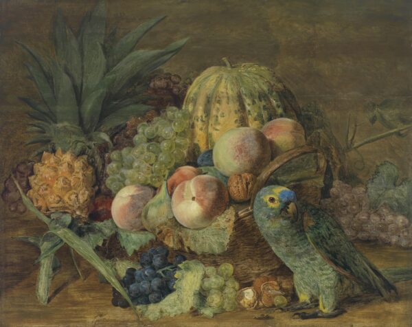 Fruit Still Life with an Amazon Parrot - by Ferdinand Georg Waldmüller