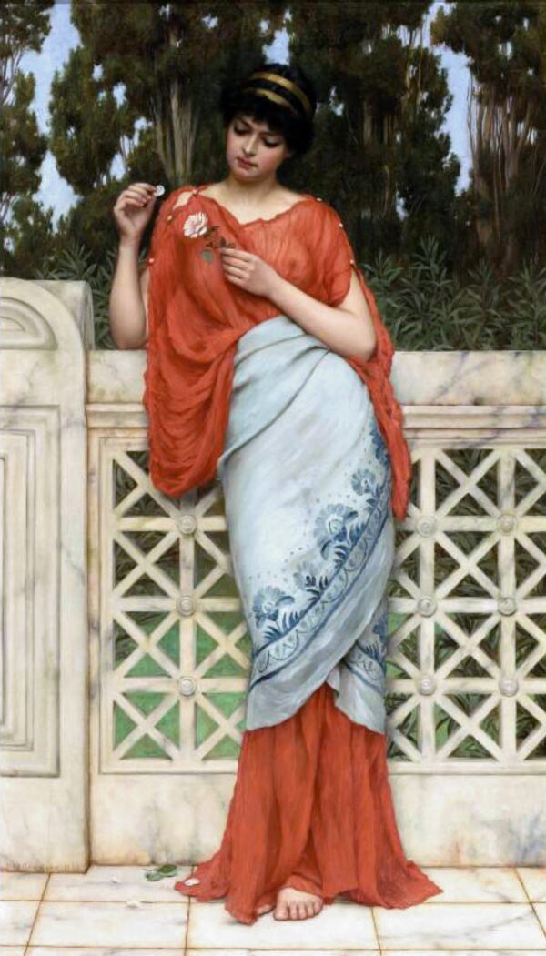He Loves Me, He Loves Me Not-1896 - by John William Godward
