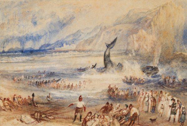 The Whale on Shore - by J. M. W. Turner