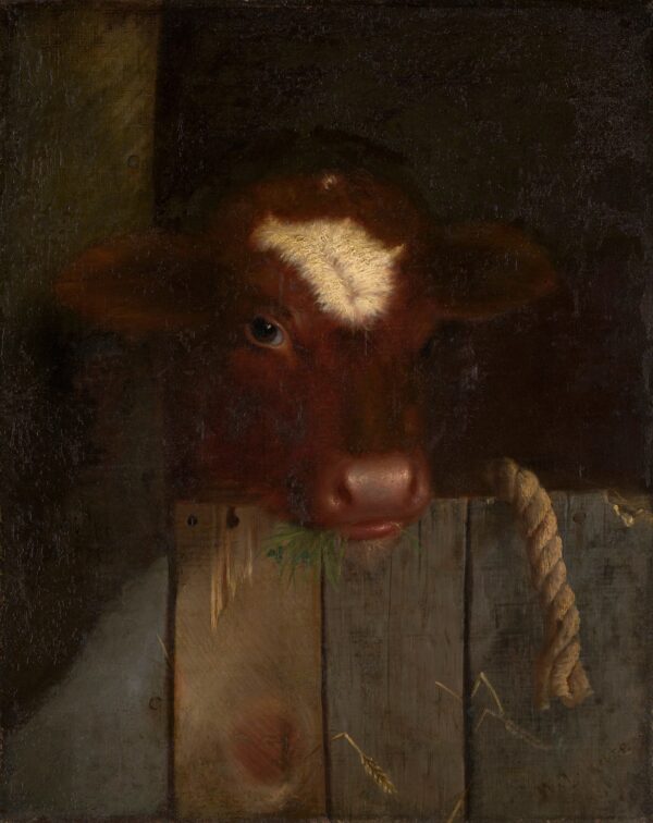 The Family Cow (Calf's Head) - by William Merritt Chase
