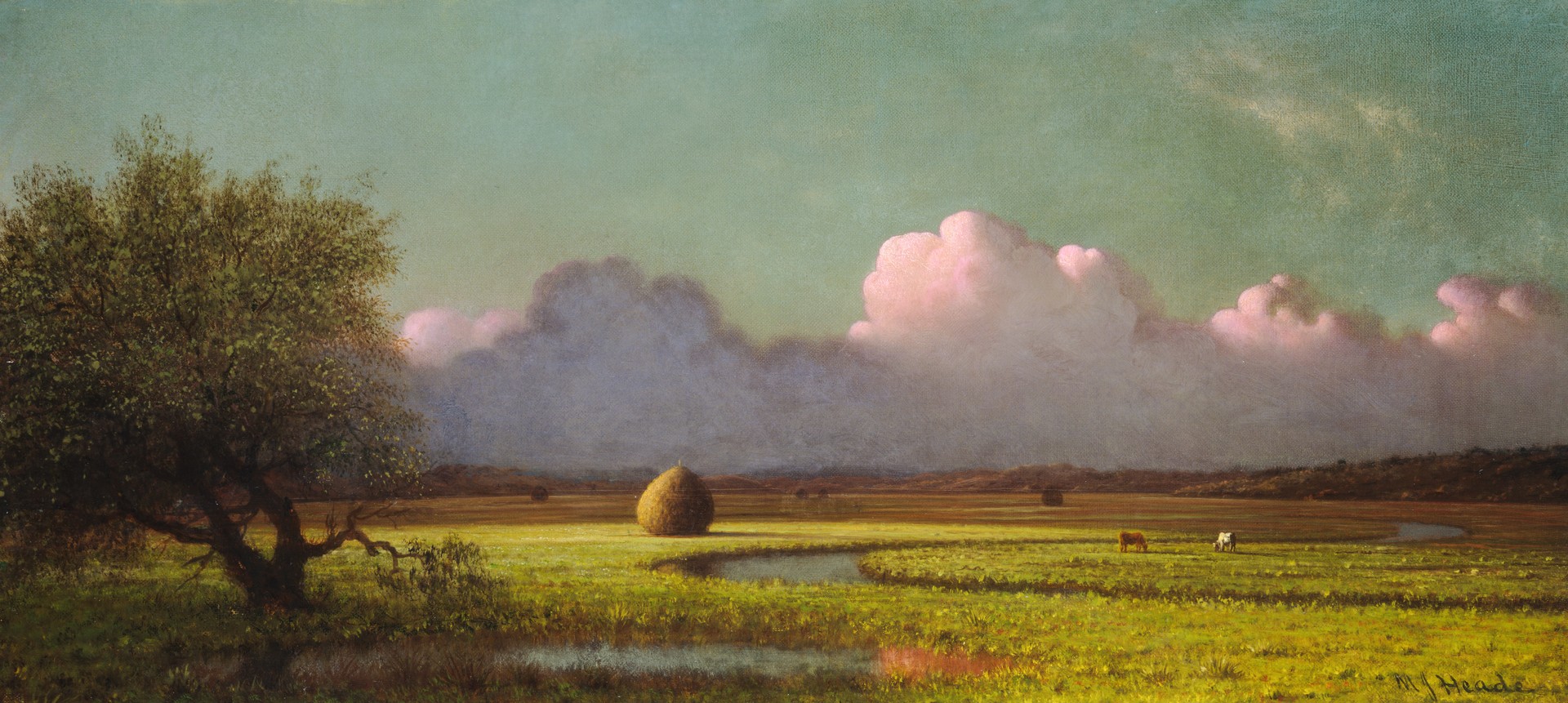 Sunlight and Shadow: The Newbury Marshes - by Martin Johnson Heade