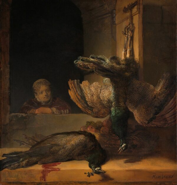Stilleven met pauwen - by Rembrandt