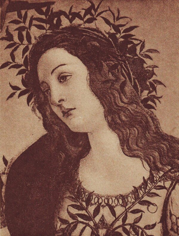 Pallas - by Sandro Botticelli