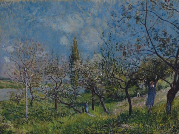 Orchard in Spring, - by by Alfred Sisley