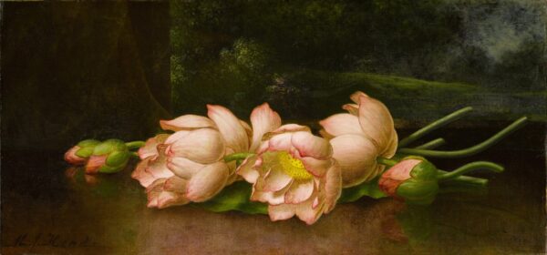 Lotus Flowers: A Landscape Painting in the Background - by Martin Johnson Heade