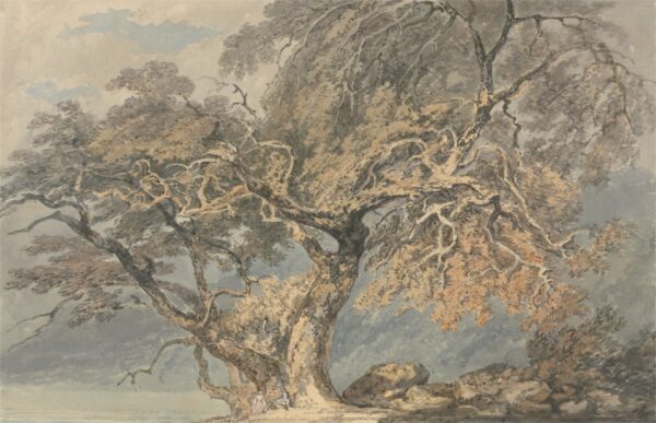 A Great Tree - by J. M. W. Turner