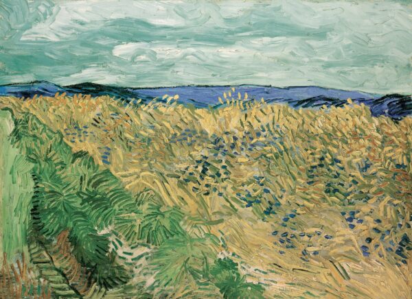 Wheatfield With Cornflowers - by Vincent van Gogh