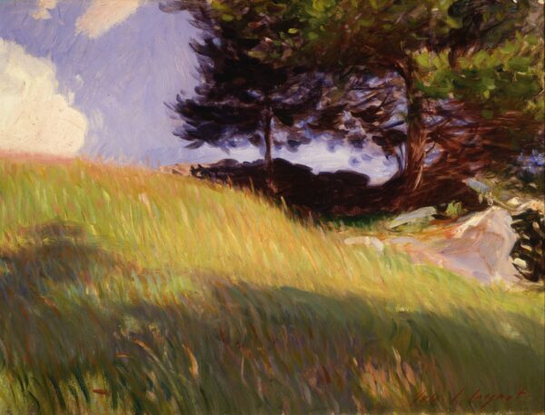 Near June Street, Worcester, Massachusetts - by John Singer Sargent