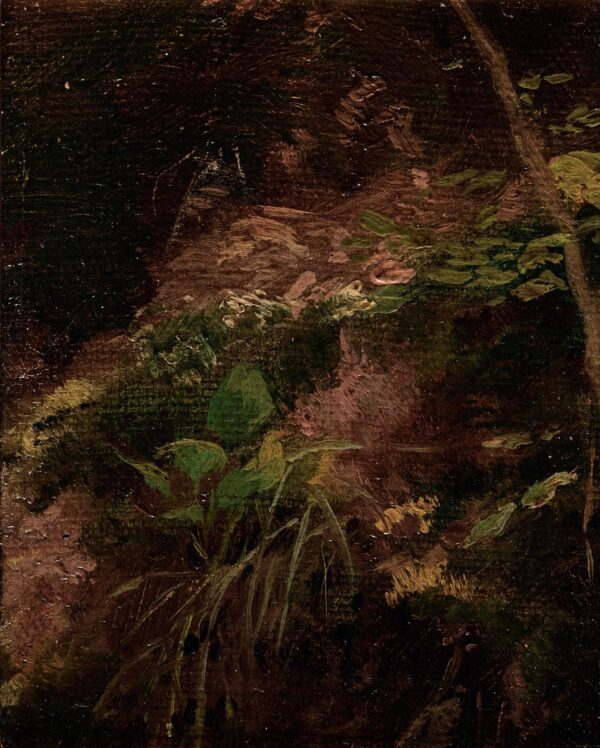 Forest Floor - by Gustav Klimt
