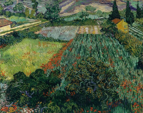 Field with Poppies - Vincent van Gogh