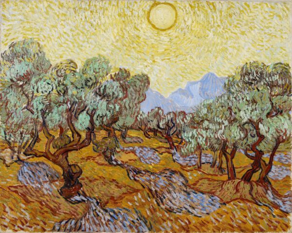 Olive Trees - by Vincent van Gogh