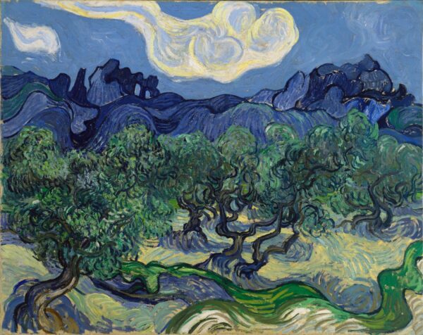 The Olive Trees - by Vincent van Gogh