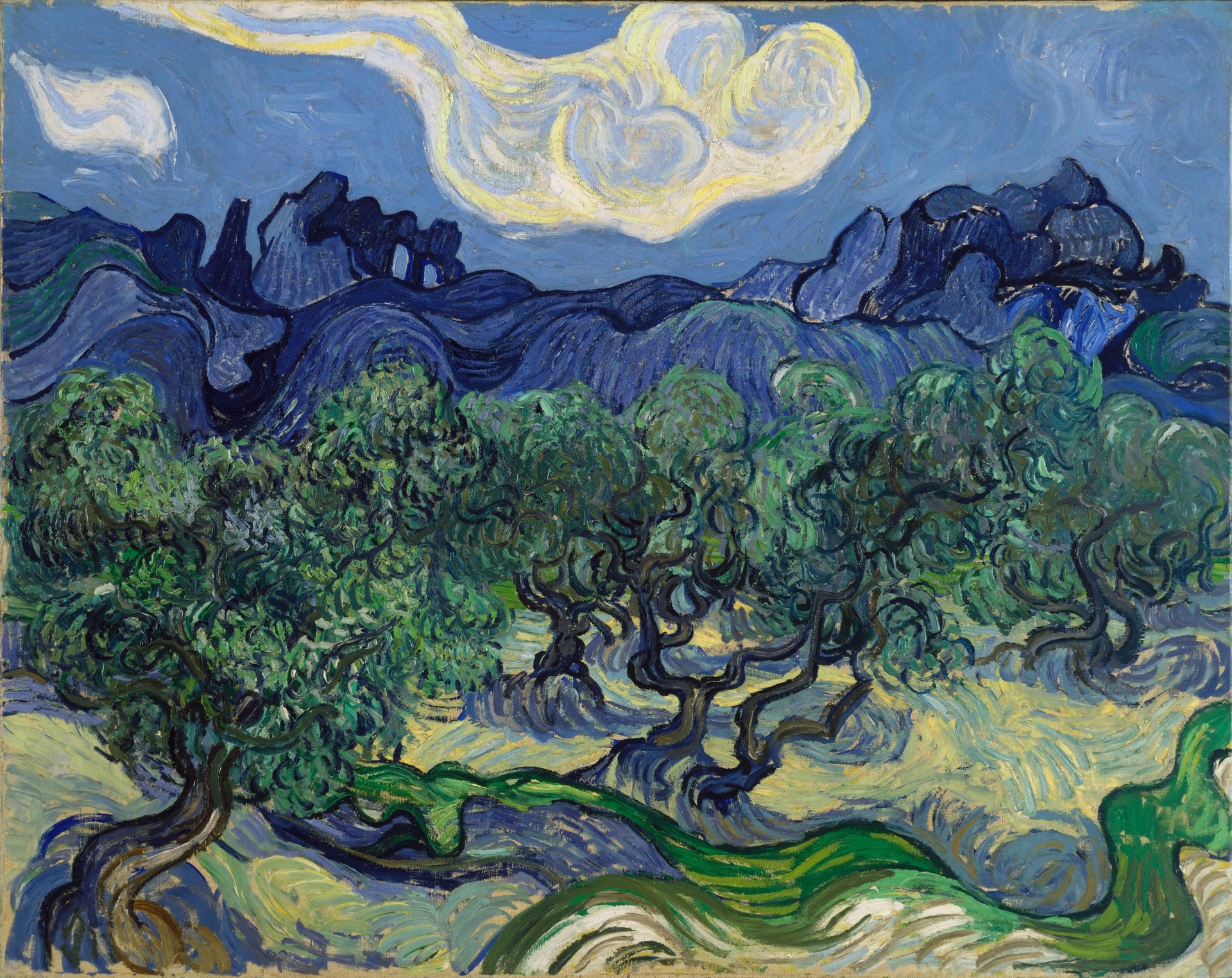 The Olive Trees - by Vincent van Gogh