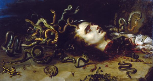 Head of Medusa - by Peter Paul Rubens