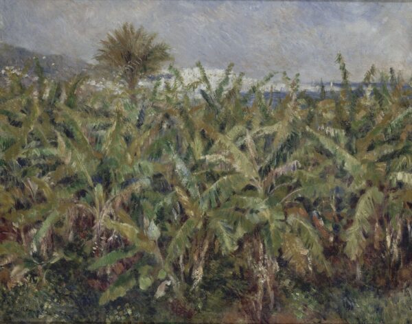 Field of Banana Trees - Pierre-Auguste Renoir