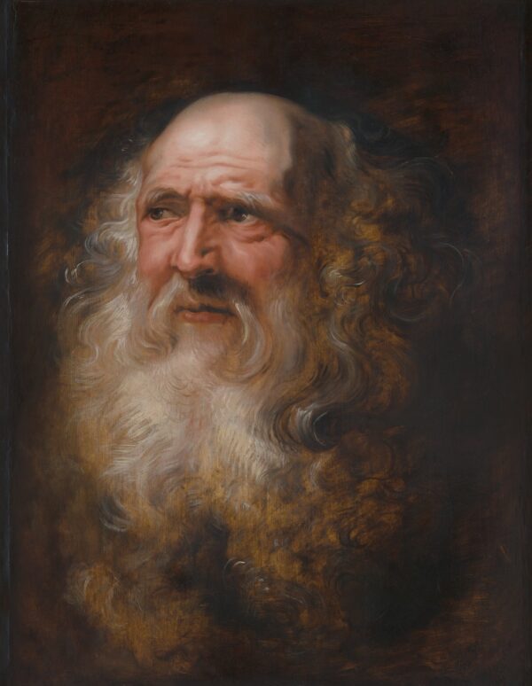Estudio de un Viejo - by Peter Paul Rubens