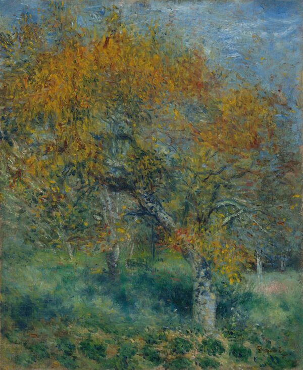 The Pear Tree - by Pierre-Auguste Renoir
