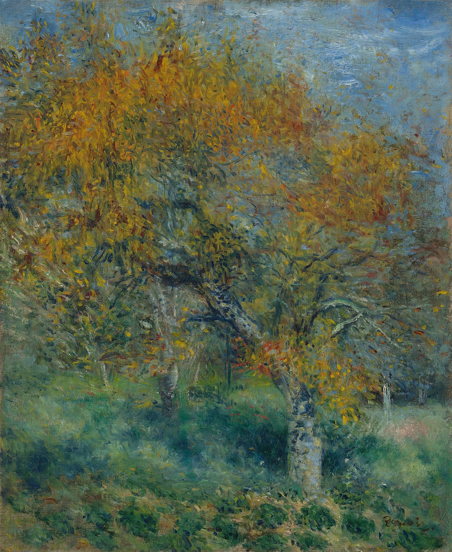 The Pear Tree - by Pierre-Auguste Renoir