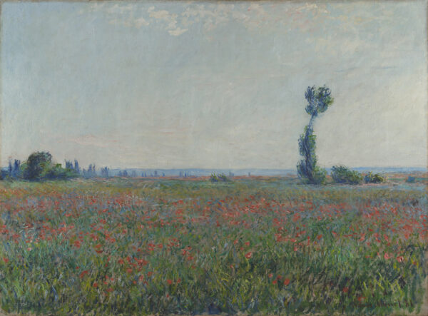 Champ de coquelicots - by Claude Monet