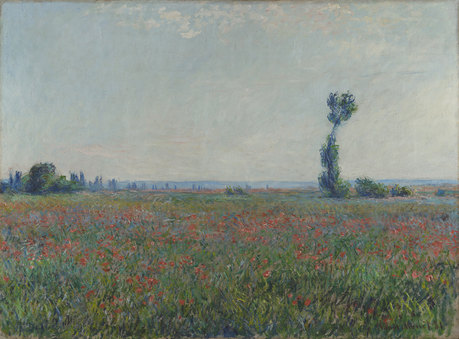 Champ de coquelicots - by Claude Monet