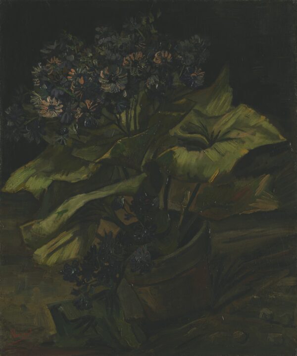 Cineraria's - by Vincent van Gogh