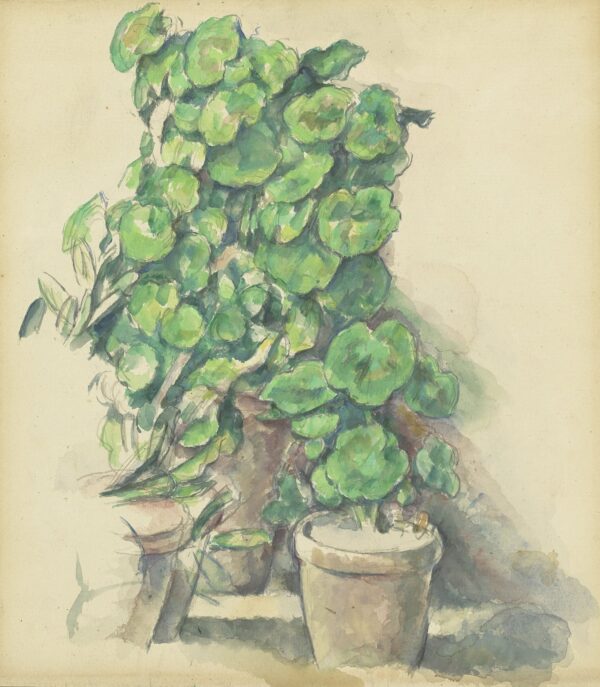Geraniums - by Paul Cézanne