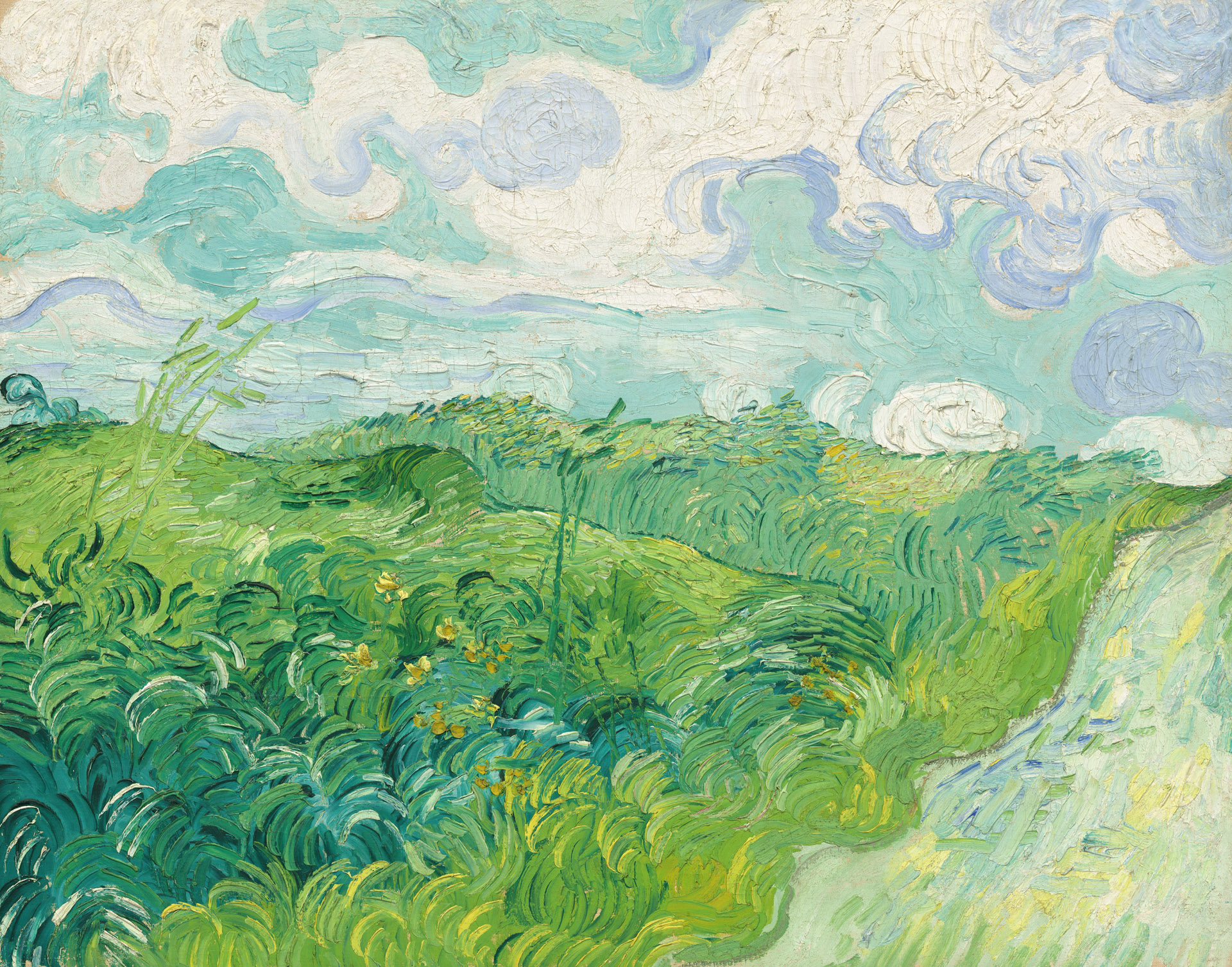 Green Wheat Fields, Auvers - by Vincent van Gogh