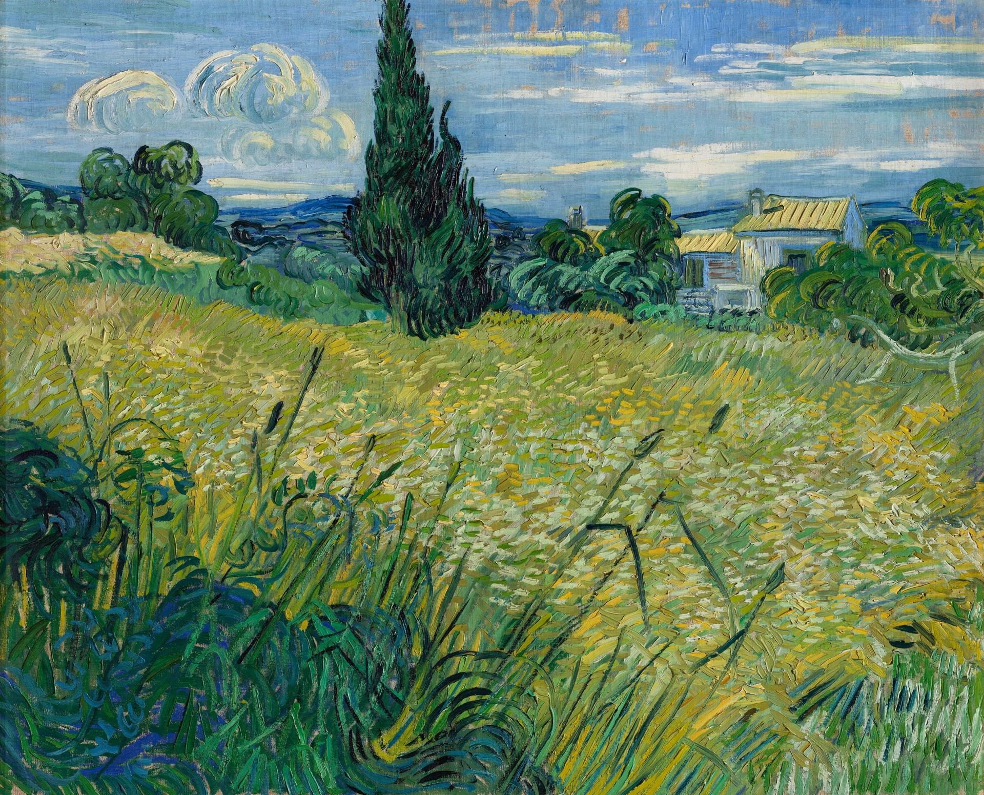 Green Wheat - by Vincent van Gogh