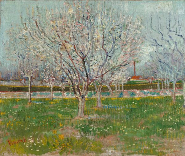 Orchard in Blossom (Apricot Trees) - by Vincent van Gogh