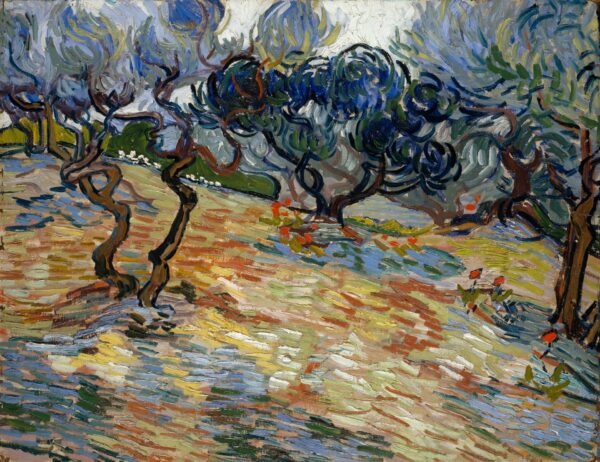 Olive Trees - by Vincent van Gogh