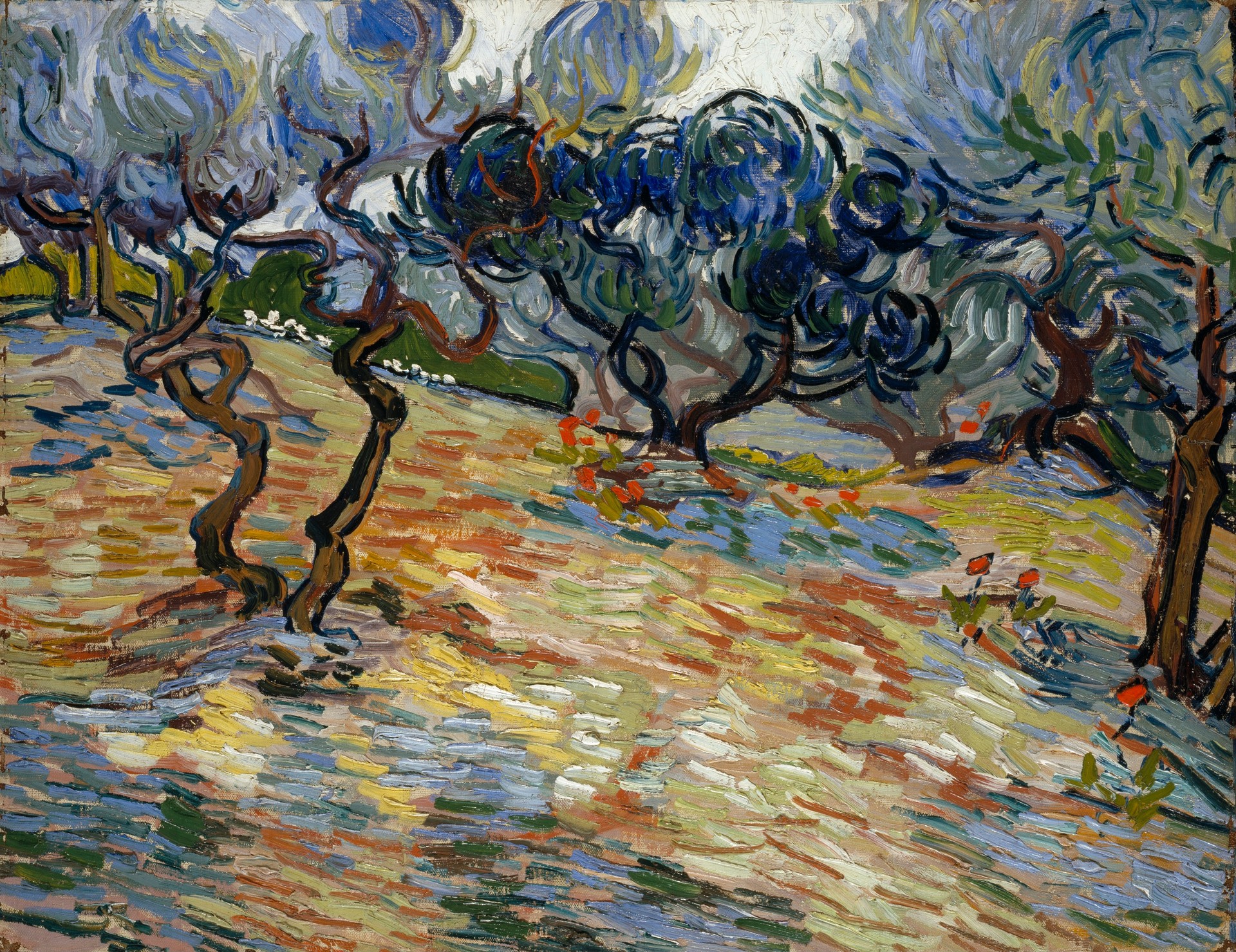 Olive Trees - by Vincent van Gogh