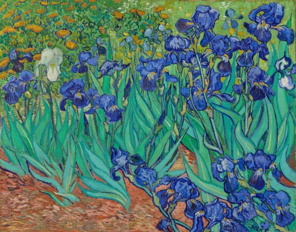 Irises - by Vincent van Gogh