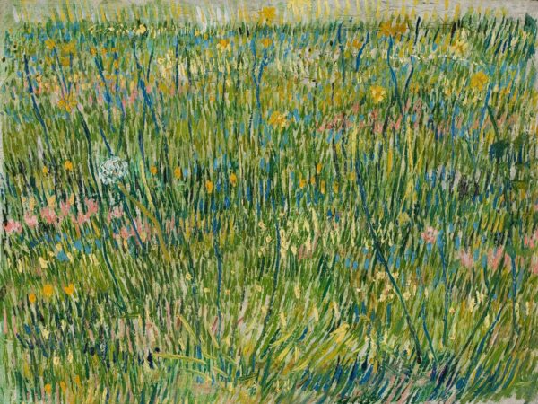 Patch of grass - by Vincent van Gogh