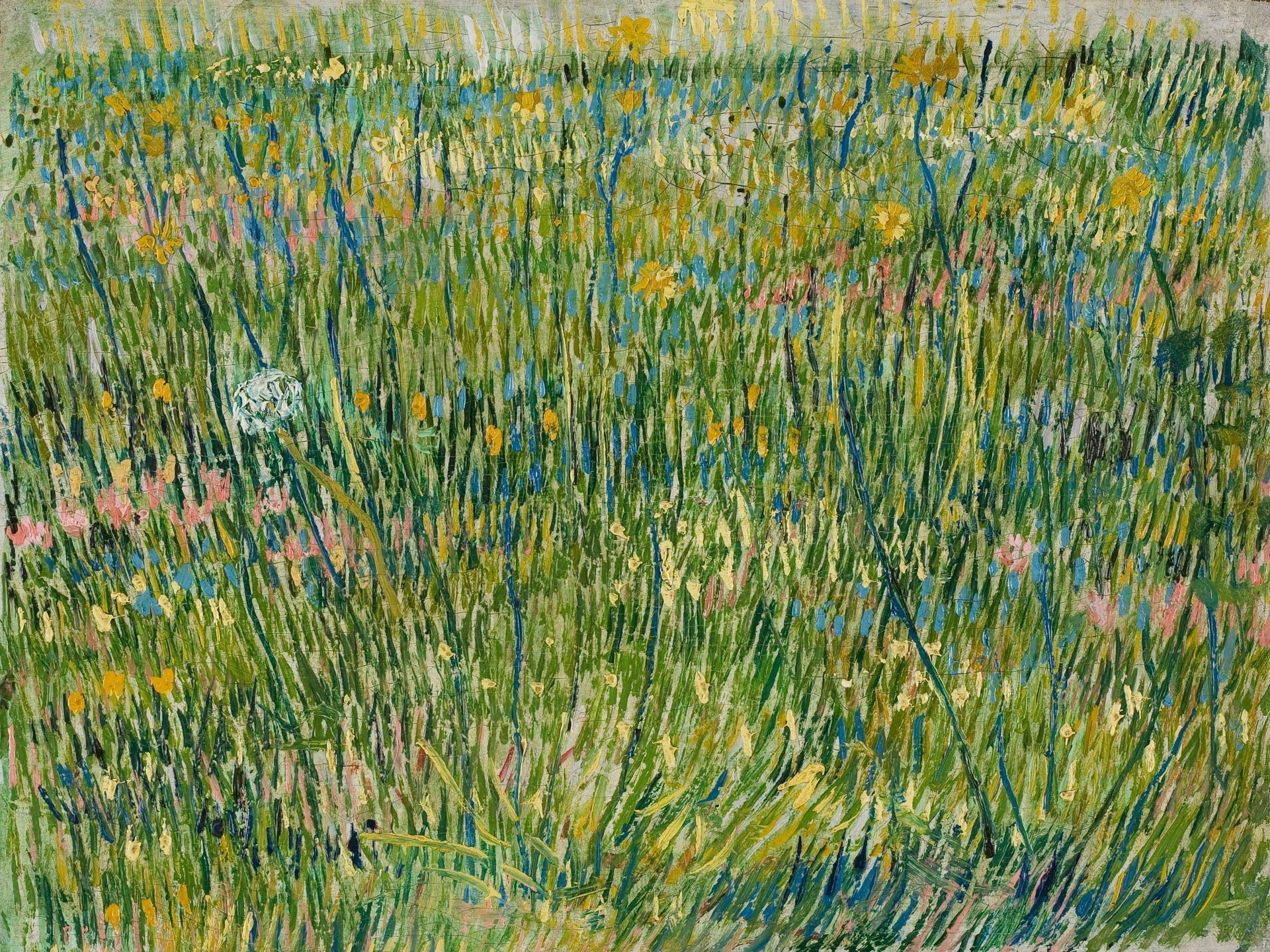 Patch of grass - by Vincent van Gogh