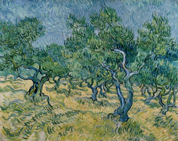 Olive grove - by Vincent van Gogh