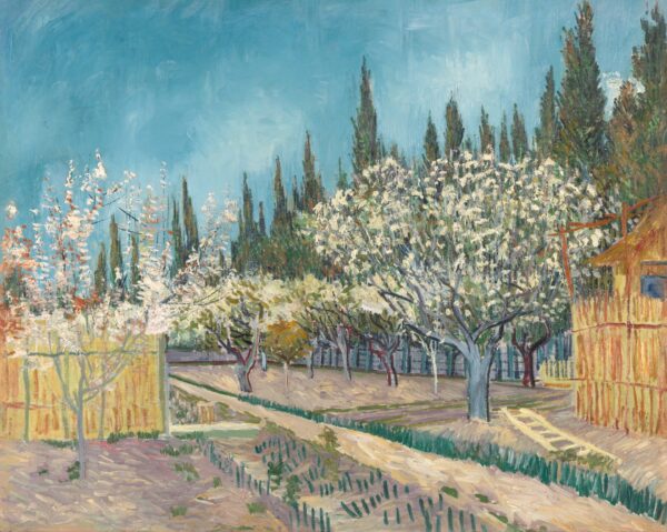 Orchard bordered - by cypresses - by Vincent van Gogh
