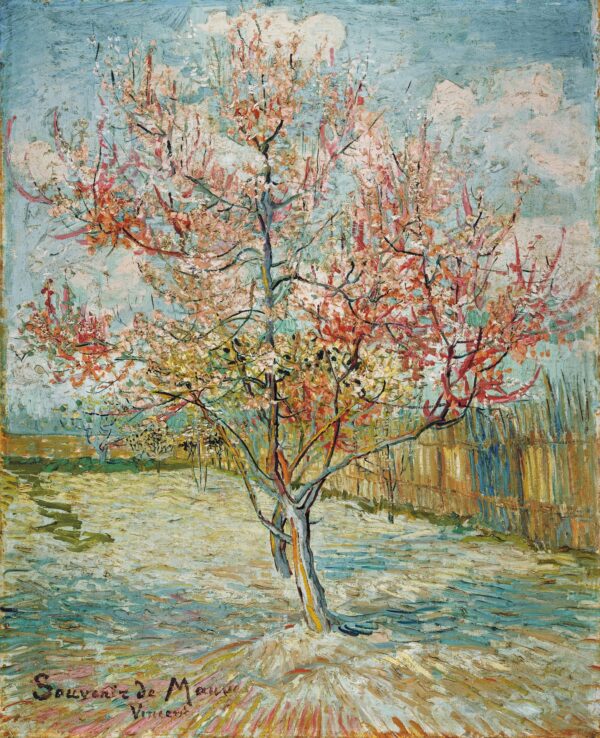 Pink peach trees ('Souvenir de Mauve') - by Vincent van Gogh