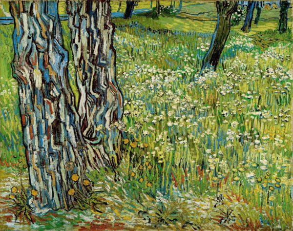 Tree trunks in the grass - by Vincent van Gogh