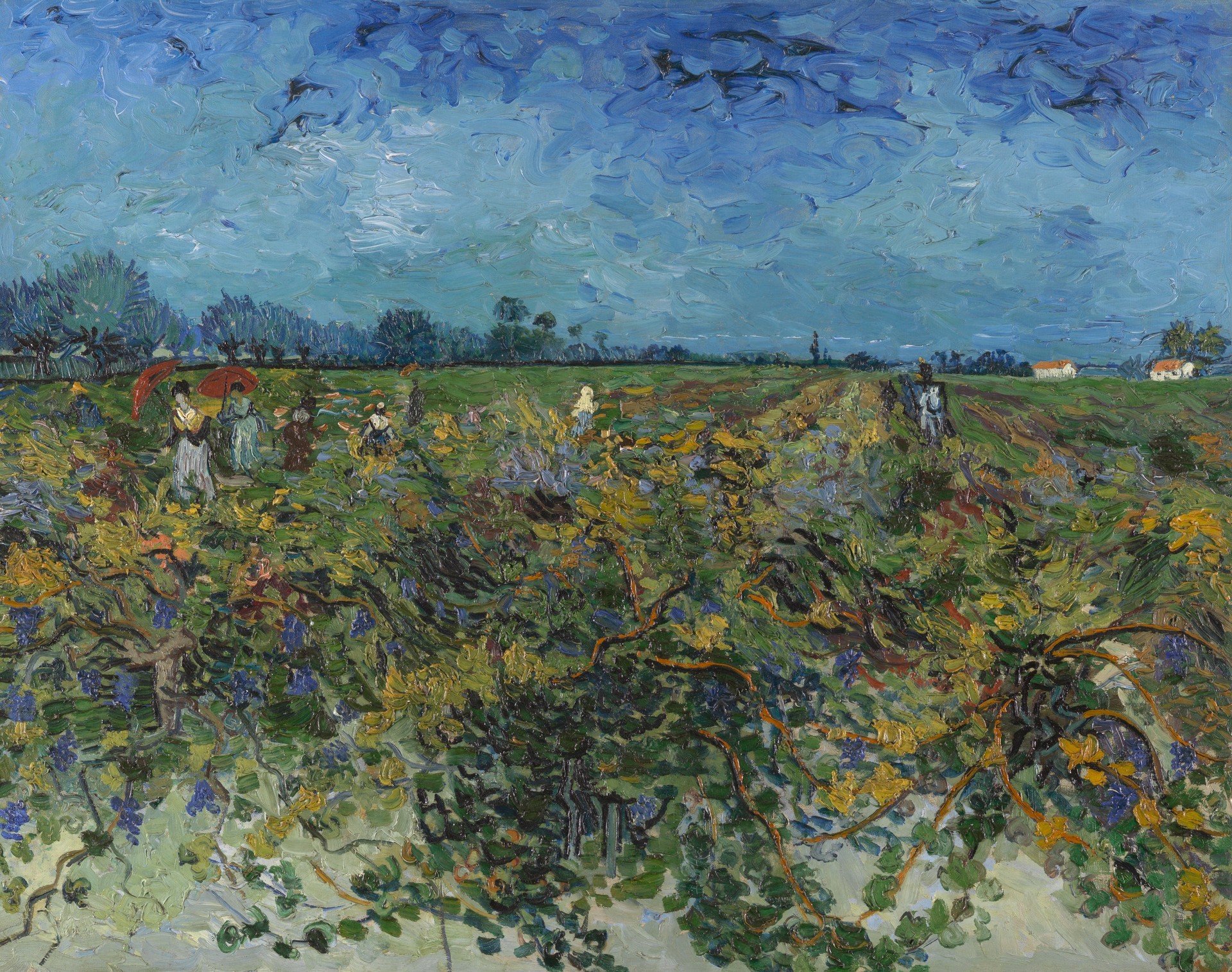 The green vineyard - by Vincent van Gogh