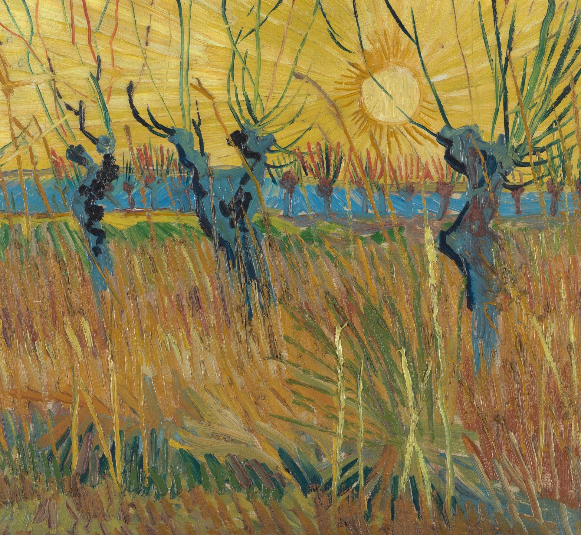 Pollard willows at sunset - by Vincent van Gogh
