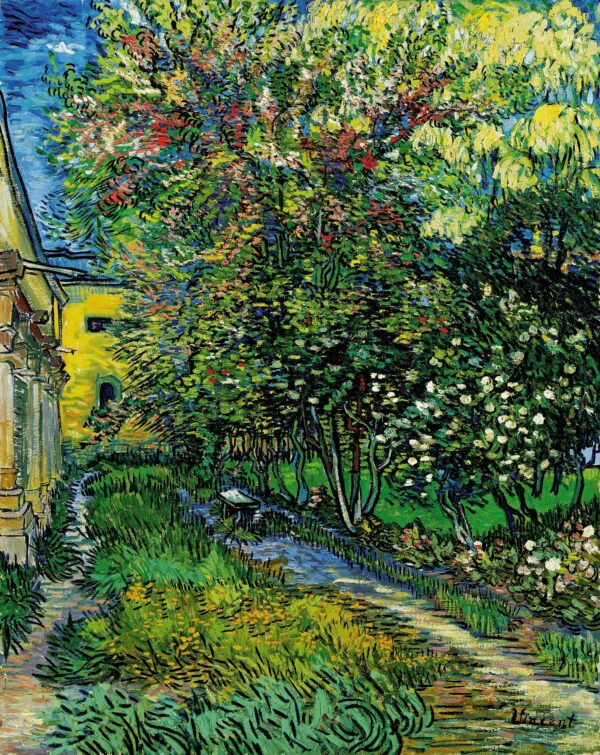 The garden of the asylum at Saint-Rémy - by Vincent van Gogh