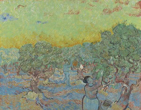 Olive grove with two olive pickers - by Vincent van Gogh
