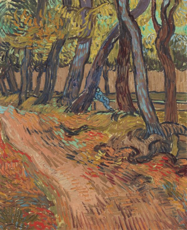 Path in the garden of the asylum - by Vincent van Gogh