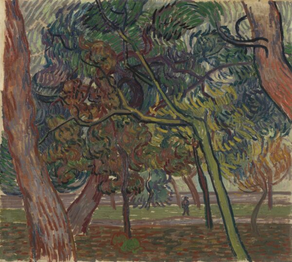 Pine trees in the garden of the asylum - by Vincent van Gogh