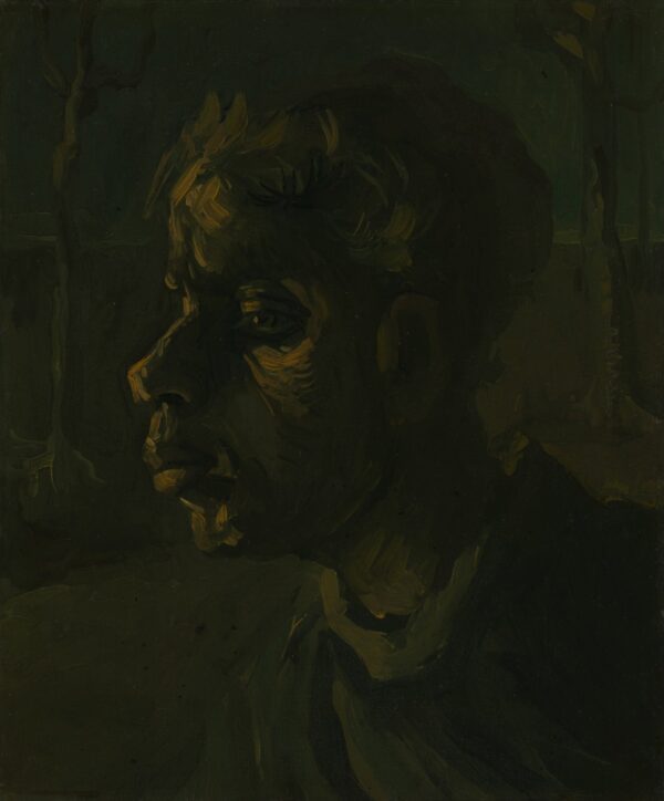 Head of a woman - by Vincent van Gogh