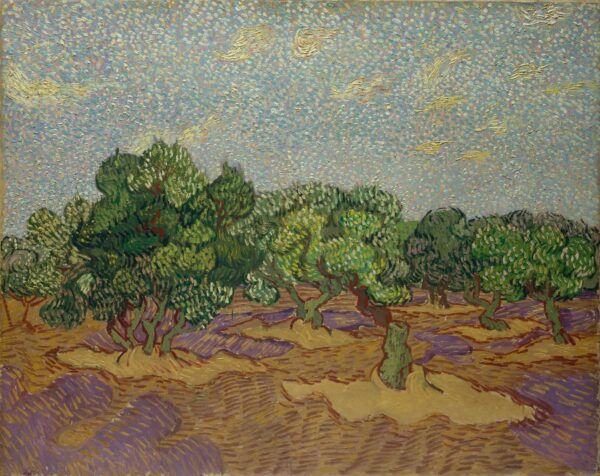 Olive Trees - by Vincent van Gogh