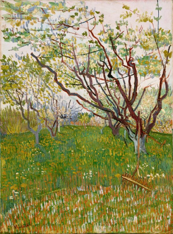 The Flowering Orchard - by Vincent van Gogh