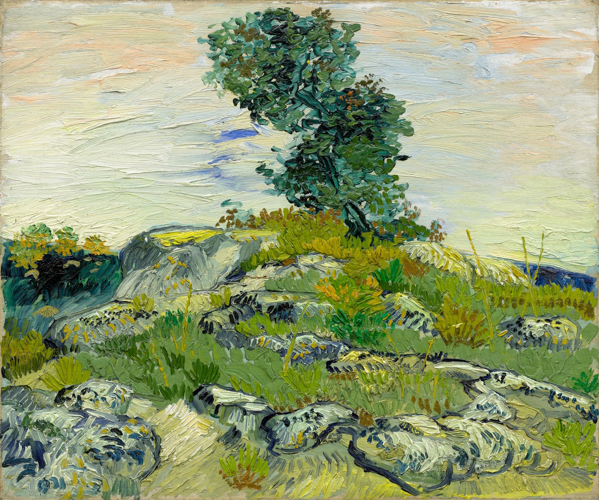 The Rocks - by Vincent van Gogh